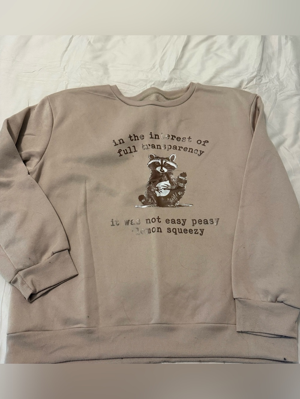 SHEIN Taupe Crewneck Sweatshirt with Raccoon Graphic